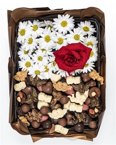 Choclot Sweet Daisy