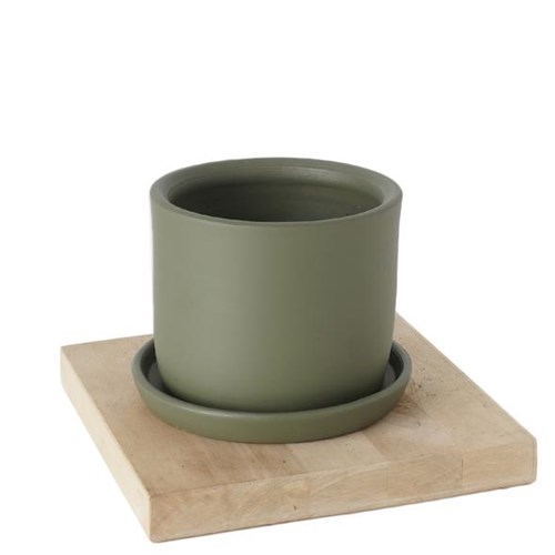 El Yapımı Heryerbitki Saksı + Tabak (5 Renk)