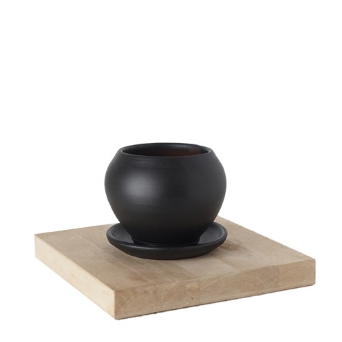 El Yapımı Heryerbitki Saksı + Tabak - Mini (5 Renk)