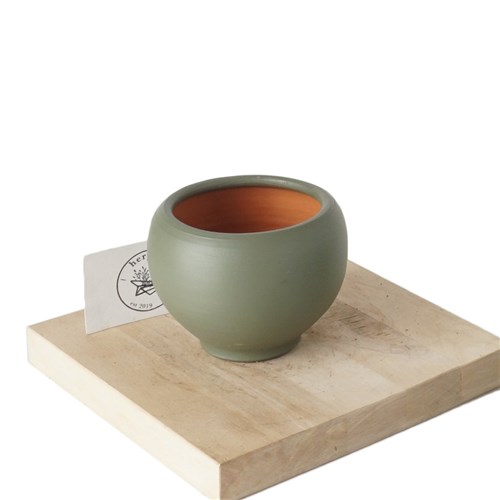 El Yapımı Heryerbitki Oval Saksı (5 Renk)
