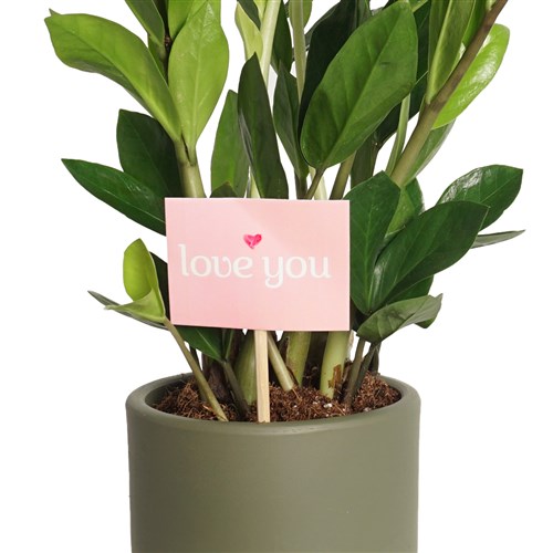 Love You (Seni Seviyorum) Tebrik Kartı