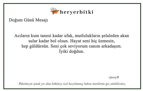 Doğum Günü Mesajları