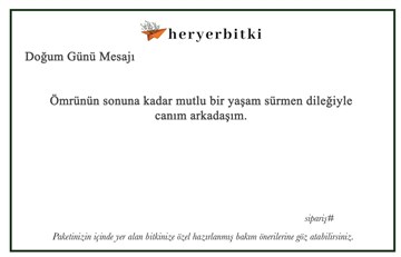 Doğum Günü Mesajları