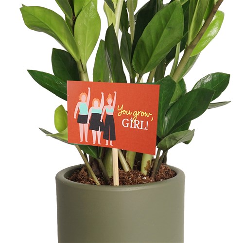 Friends You Grow Girl - Tebrik Kartı