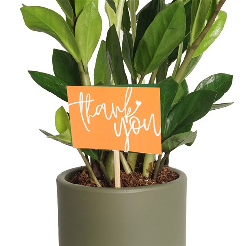Thank You Tebrik Kartı