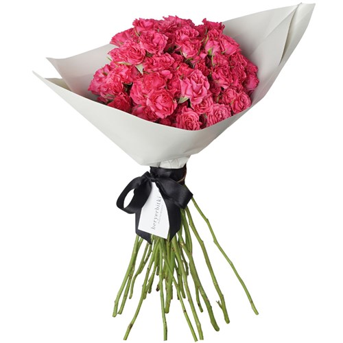 Infinite Pink Roses (Pembe Çardak Güller)