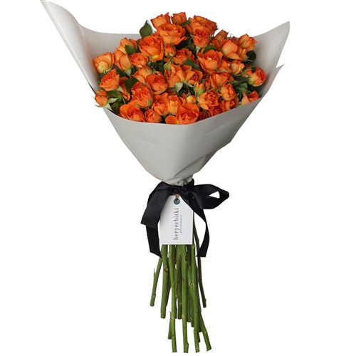Infinite Orange Roses (Turuncu Çardak Güller)