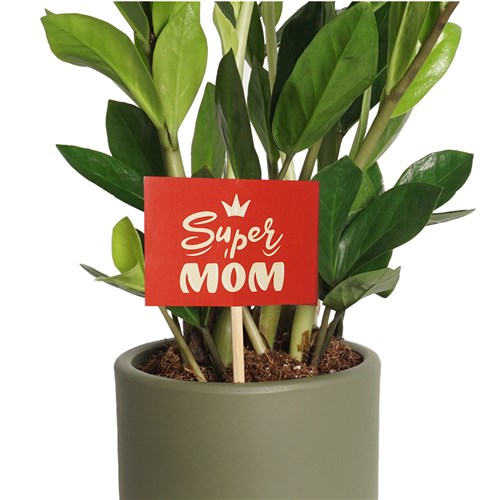 Super Mom - Tebrik Kartı