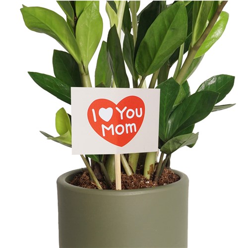 I Love U Mom - Heryerbitki