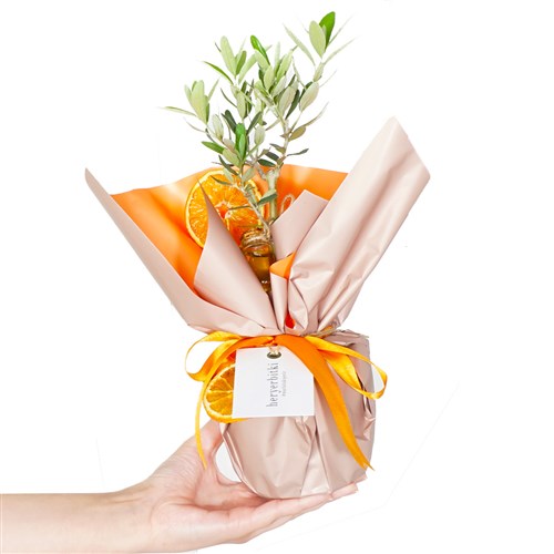 Olive Tree Gift (Zeytin Ağacı Hediye)