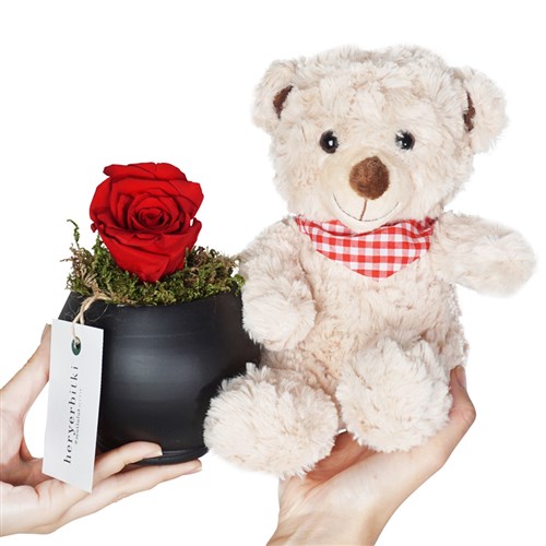 Infinity Roses (Solmayan Gül ve Ayıcık)