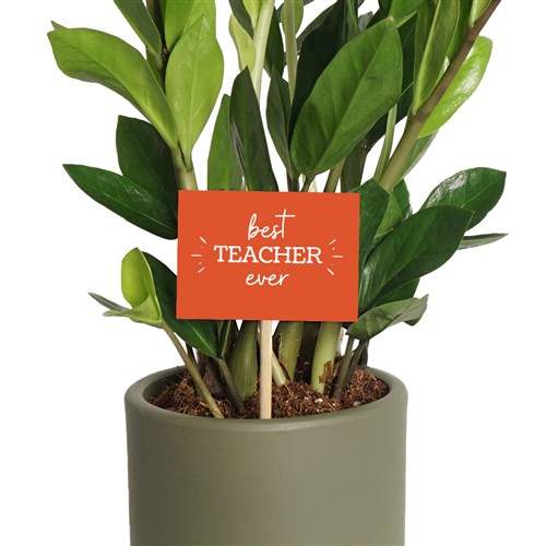 Best Teacher (En İyi Öğretmen) - Öğretmenler Günü Tebrik Kartı