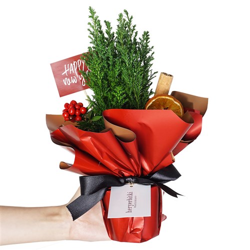 Happy New Year Gift (Yeni Yıl Çamı)