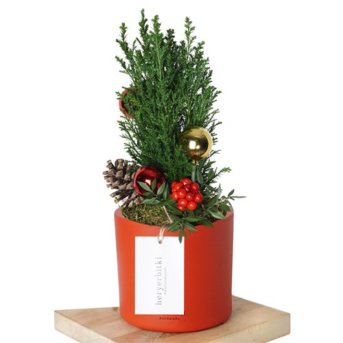 Happy New Year Lucky Tree (Yeni Yıl Çamı Süslemeli)