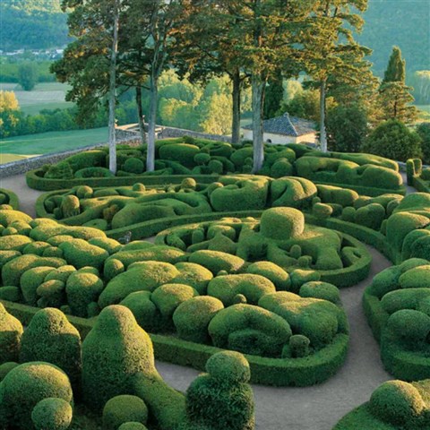 Ağaç Budama Sanati(Topiary) Nedir?