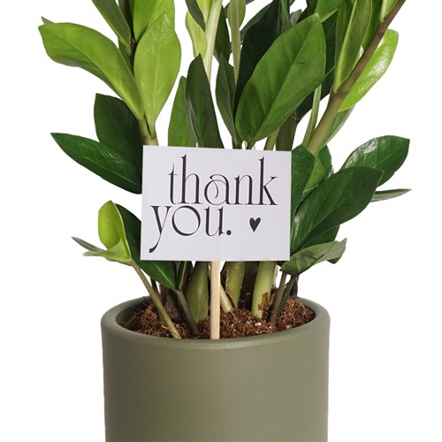 Thank You (Teşekkürler) - Tebrik Kartı