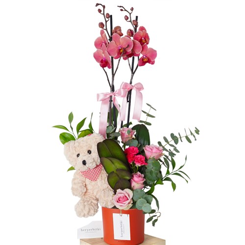 Super Coral Gift (Ateş Orkide Aranjmanı)