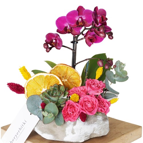 Rose & Orchid (Mor Orkide ve Güller Aranjmanı)
