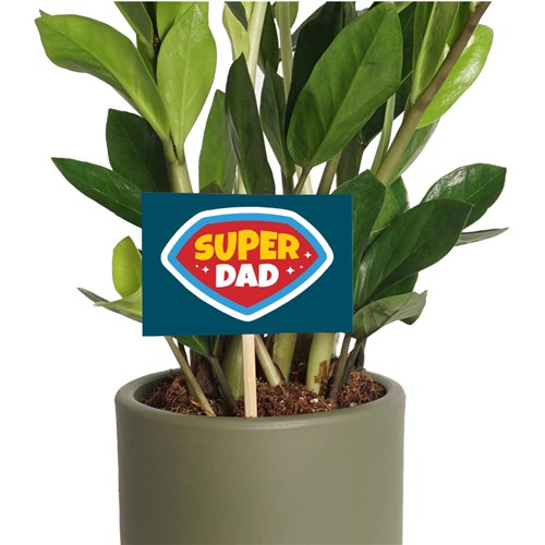 Super Dad (Babalar Günü Kartı)