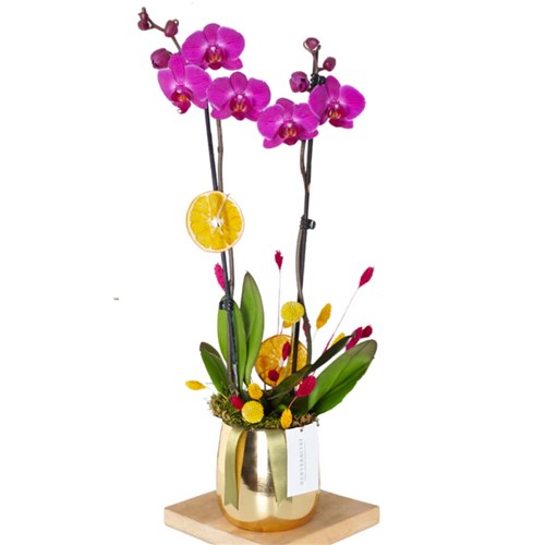 Premium Gold Purple (Altın Vazoda Mor Orkide)