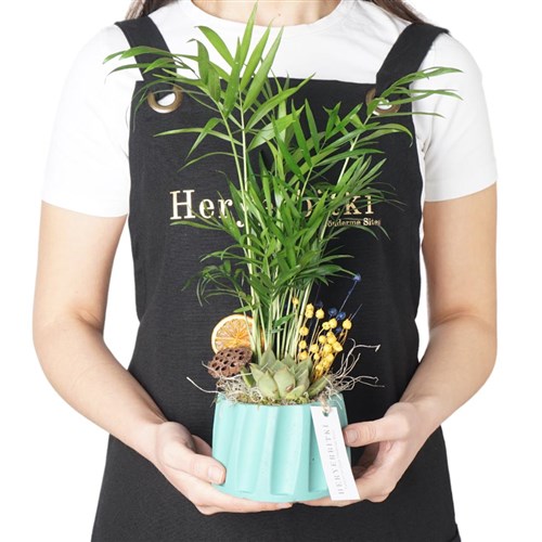 Sky Palm Gift (Palmiye Aranjmanı)