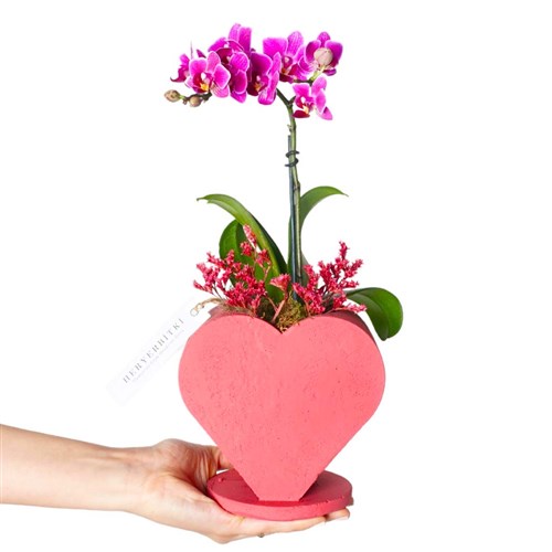 Love of My Life (Kalp Saksıda Mor Orkide Tasarımı)
