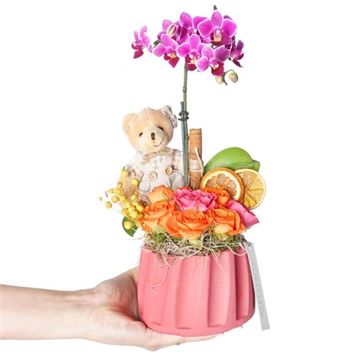 Sweet Gift Orchid (Mor Orkide, Güller Aranjmanı)