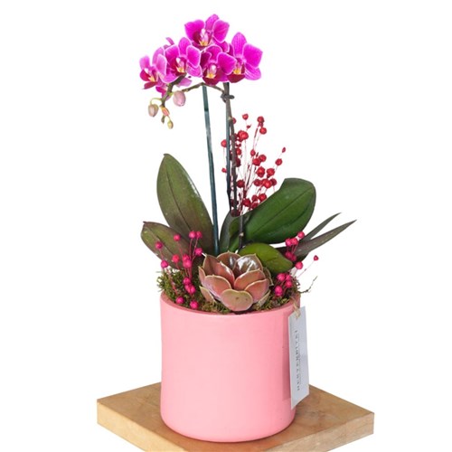 Candy Purple Orchid Gift (Mor Orkide Aranjmanı)