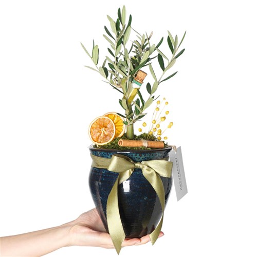 Premium Vazoda Zeytin Ağacı Aranjmanı