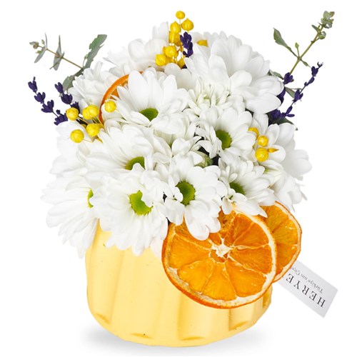 Yellow Daisy Gift (Beyaz Papatya Aranjmanı)