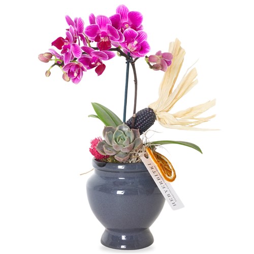 Royal Purple Orchid (Mor Orkide Aranjmanı)