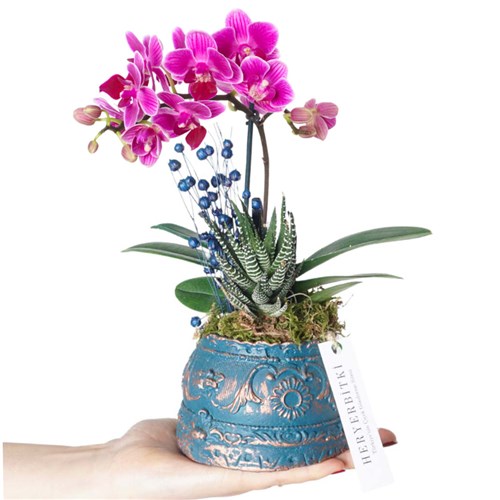 Crown Purple Orchid (Mor Orkide Aranjmanı)