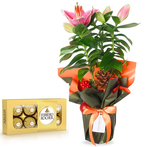 Berry Lily & Ferrero Rocher Bundle (Kokina Aranjmanı ve Çikolata Seti)