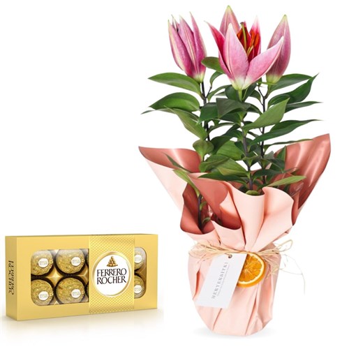 Lilyum Çiçeği & Ferrero Rocher Bundle