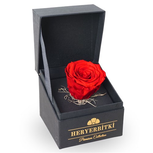 Premium Kutuda Kırmızı Solmayan Gül