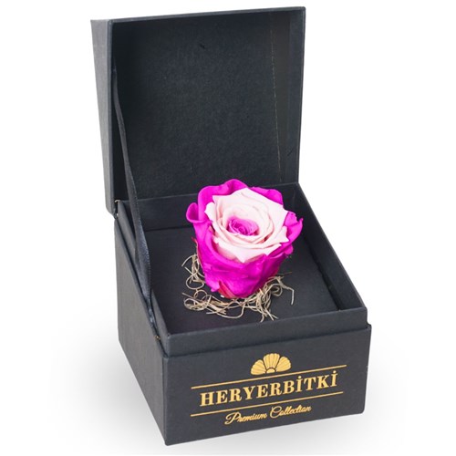Premium Kutuda Pembe-Beyaz Solmayan Gül