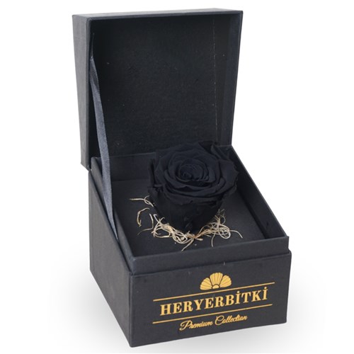 Premium Kutuda Siyah Solmayan Gül