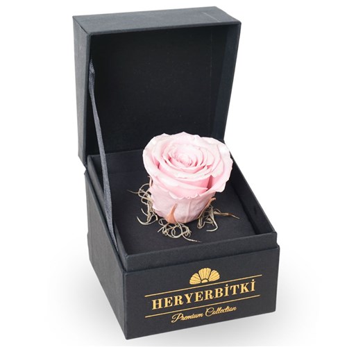 Premium Kutuda Metalik Pembe Solmayan Gül
