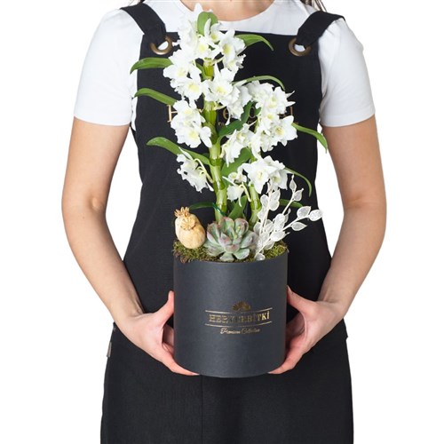 Premium Box Dendroium (Kutuda Dendrobium Aranjmanı)