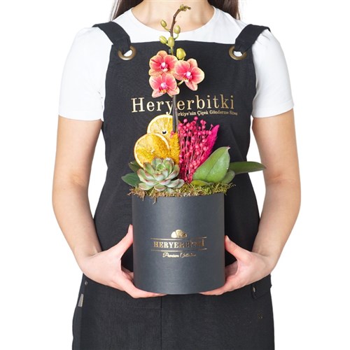 Premium Box Coral Gift (Siyah Kutuda Ateş Orkide Aranjmanı)
