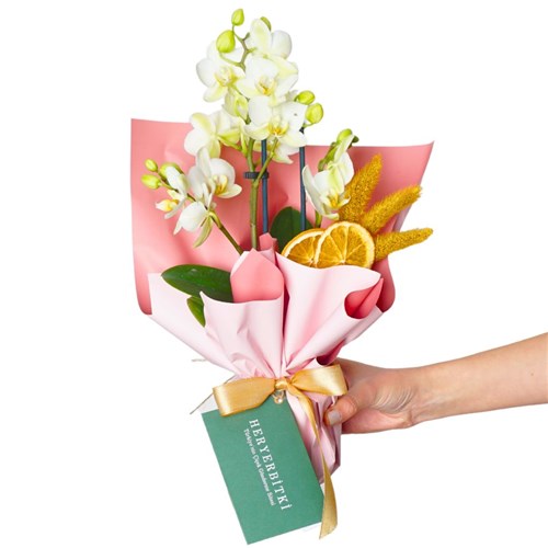 Sweet Gift (Midi Beyaz Orkide Aranjmanı)