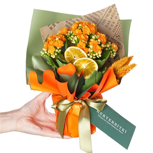 Orange Kalanchoe Gift (Turuncu Çiçekli Kalanşo)
