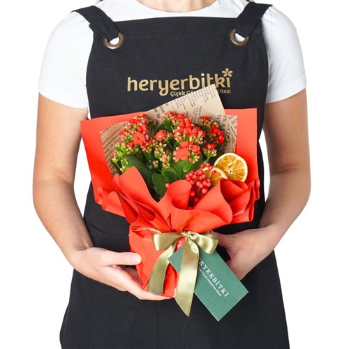 Red Kalanchoe Gift (Kırmızı Çiçekli Kalanşo)