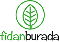 fidanburada.com