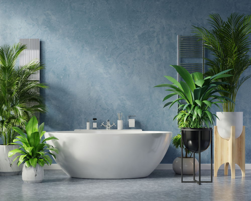 Popüler Banyo Bitkileri