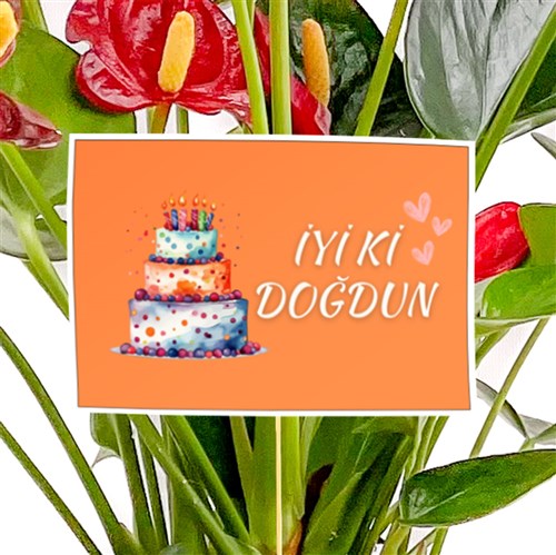 Doğum Günü - Tebrik Kartı 2