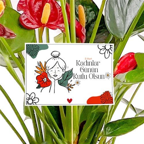 Kadınlar Günü - Tebrik Kartı
