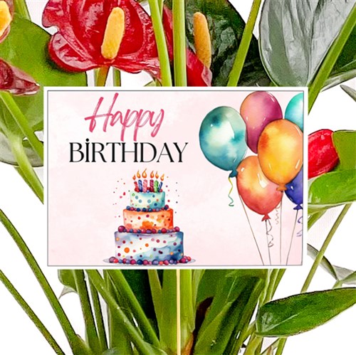 Doğum Günü - Tebrik Kartı
