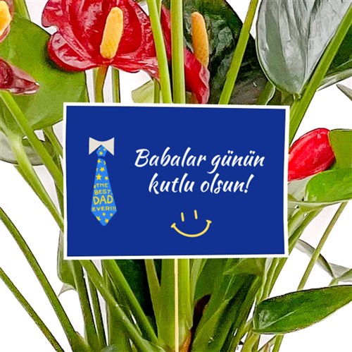Babalar Günü - Tebrik Kartı