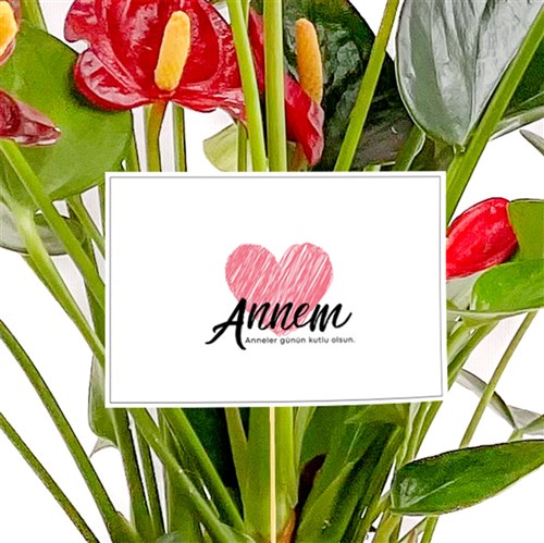 Anneler Günü - Tebrik Kartı